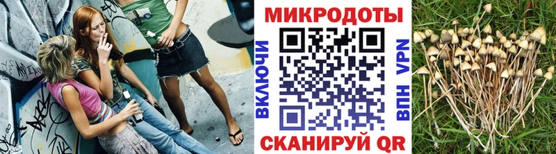 Купить где  Харабали  Галлюциногенные грибы Cubensis 